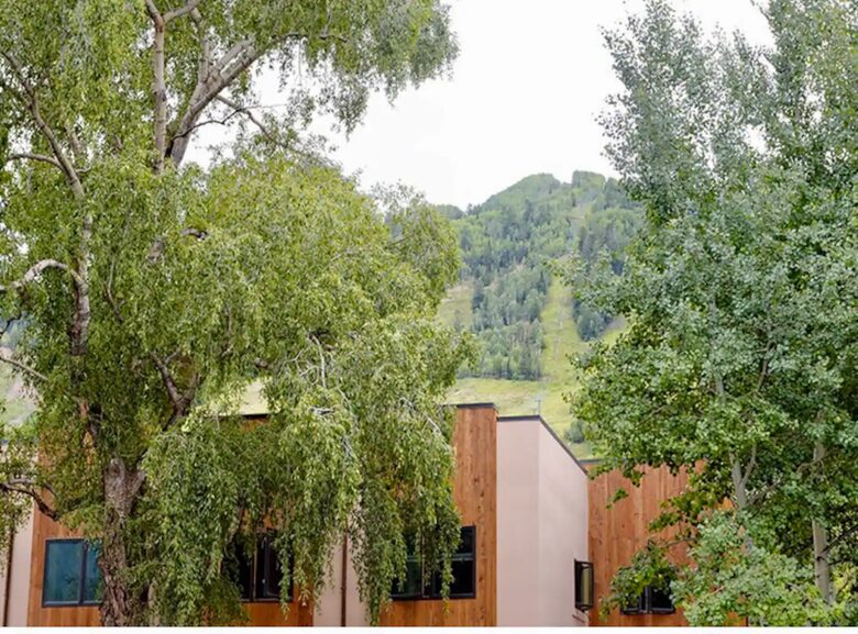 Chic, Cozy Aspen Jewel Box in Center Core - Aspen, Colorado