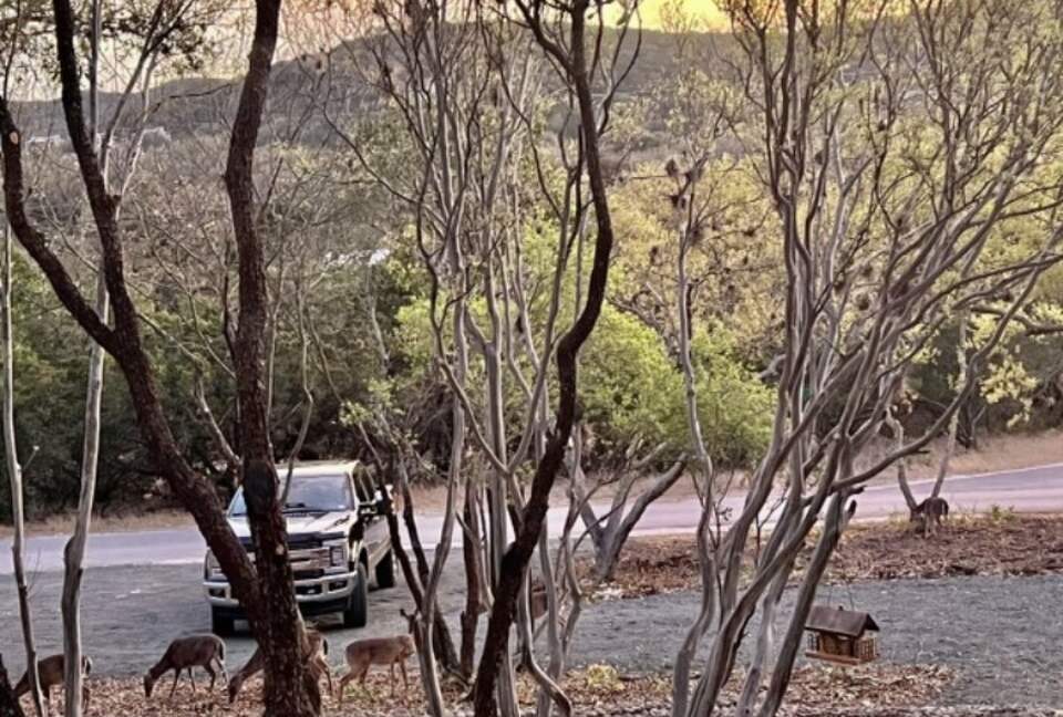 Casa De Joy - Concan, Texas