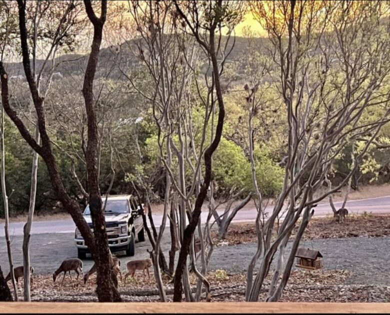 Casa De Joy - Concan, Texas