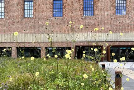 wildflower gardens in front of Switch House East