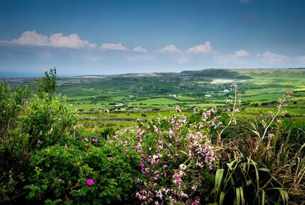 Fuschia Ocean Cottage - Doolin, Ireland