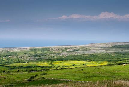 Fuschia Ocean Cottage - Doolin, Ireland
