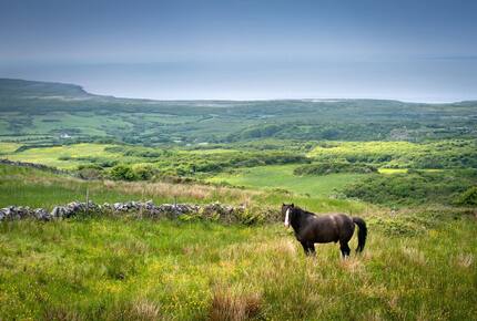 Fuschia Ocean Cottage - Doolin, Ireland