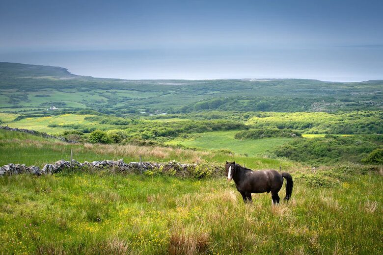 Fuschia Ocean Cottage - Doolin, Ireland