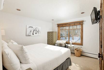 Fasching Haus Luxury Condo - Aspen, Colorado