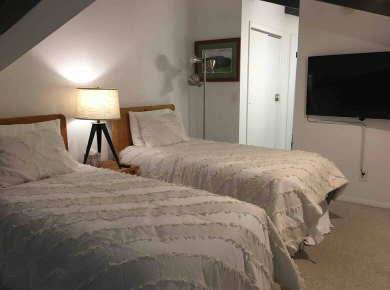 Slope Side Ski-In/Ski-Out Crested Butte Condo - Mt. Crested Butte, Colorado