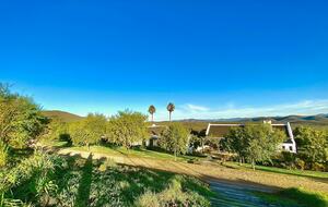The Penhill Estate (R) - Nuy Valley, South Africa