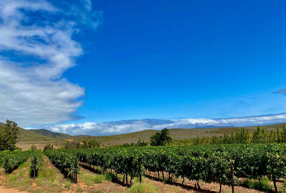 The Penhill Estate (R) - Nuy Valley, South Africa