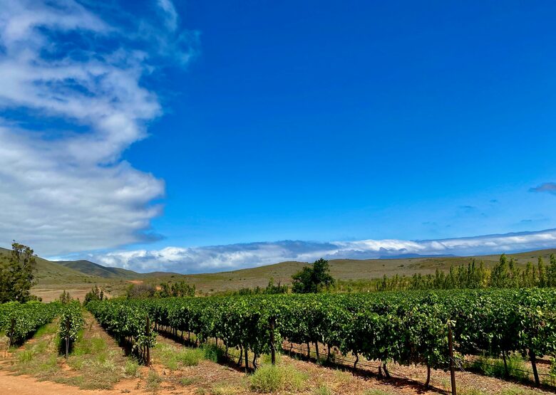The Penhill Estate (R) - Nuy Valley, South Africa