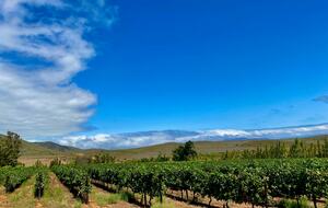 The Penhill Estate (R) - Nuy Valley, South Africa