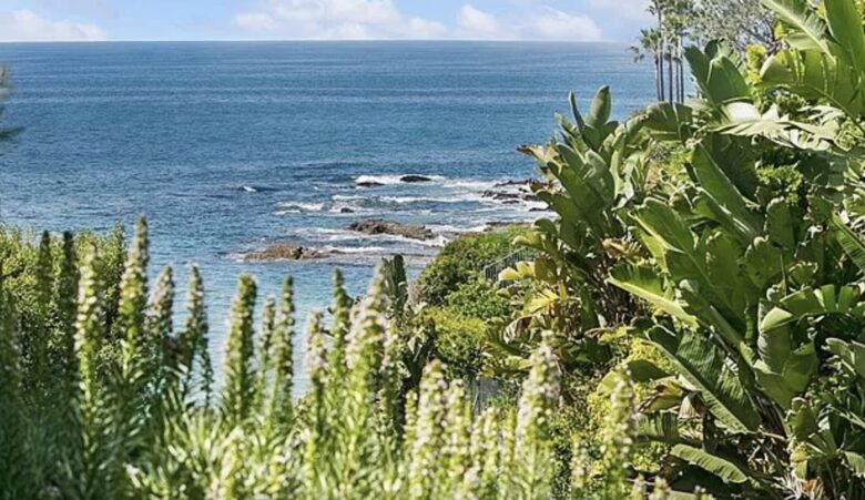 Laguna Beach Getaway - Laguna Beach, California