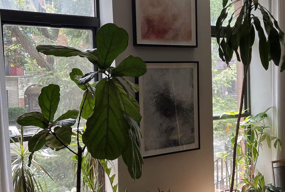 Historic Brooklyn Brownstone Garden Apartment - New York City, New York