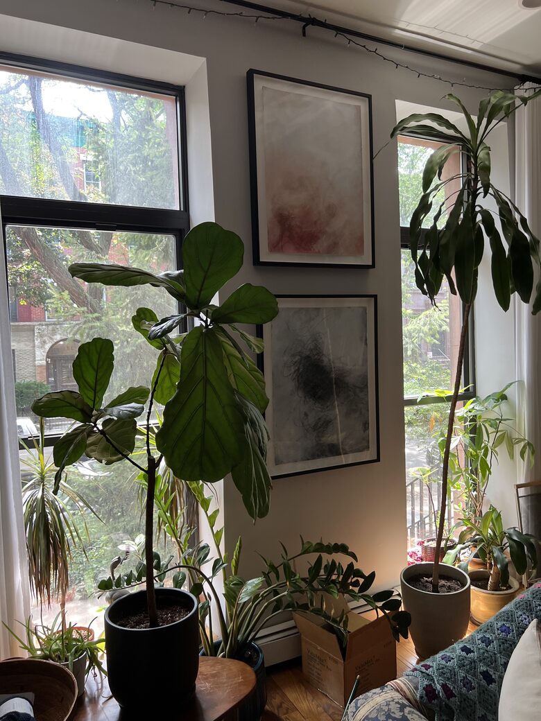 Historic Brooklyn Brownstone Garden Apartment - New York City, New York