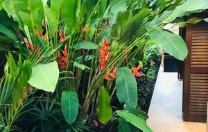 Aqua Beach Front Villa (R)