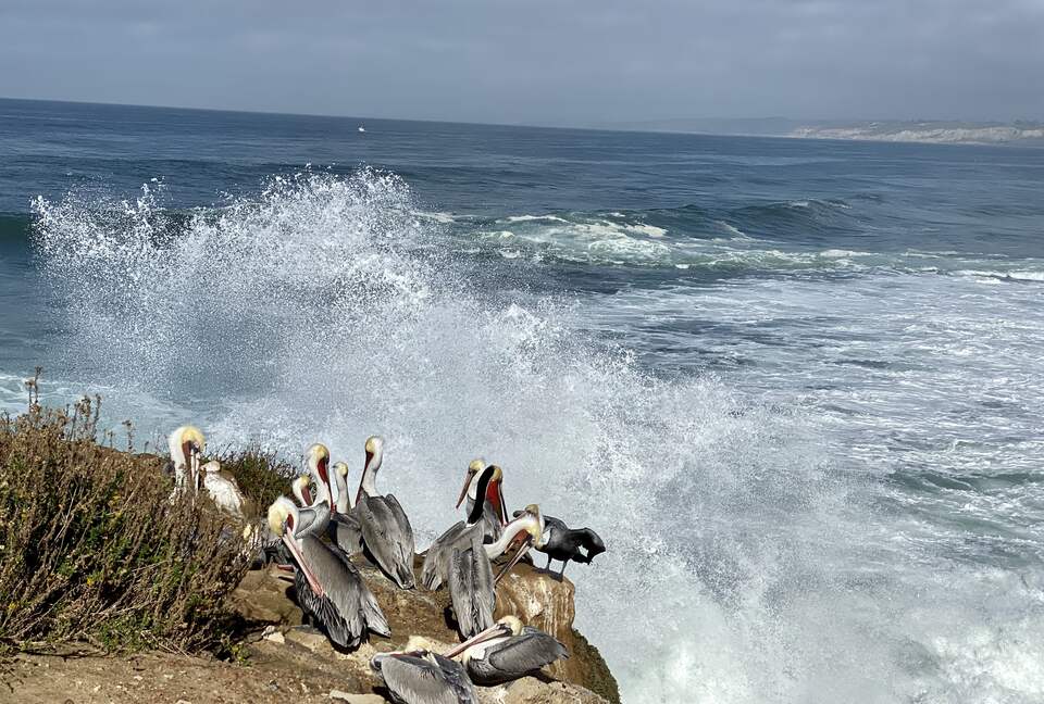 Panoramic Ocean, Bay And City Views - La Jolla, California