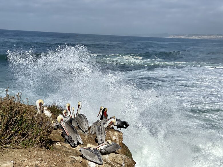 Panoramic Ocean, Bay And City Views - La Jolla, California