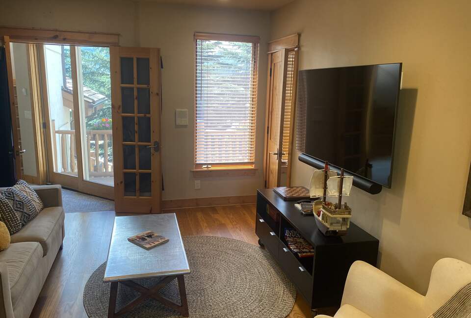 Lower level TV room with pull-out couch