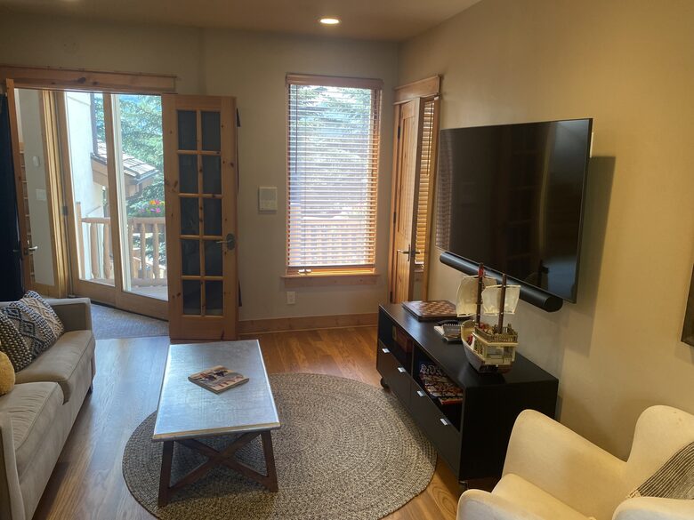 Lower level TV room with pull-out couch