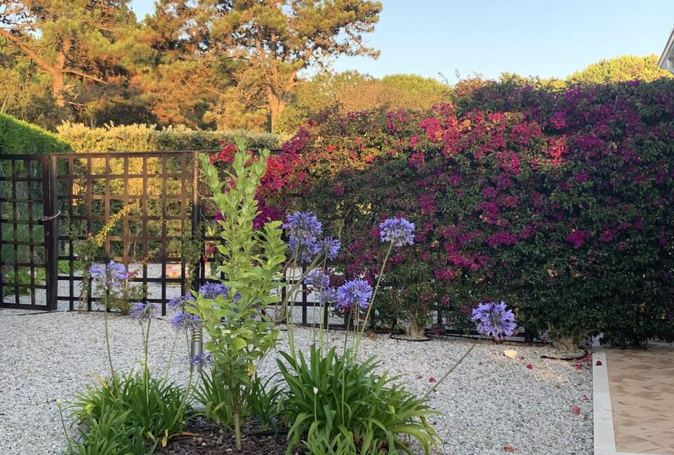 Villa Rosa - Amoreira, Portugal