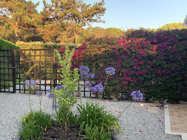 Villa Rosa - Amoreira, Portugal