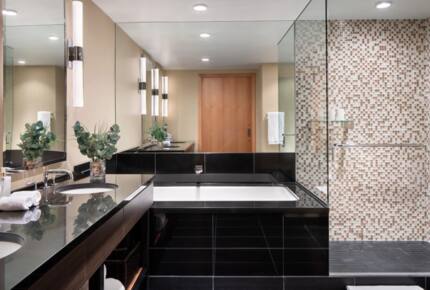 Viceroy Hotel Ski-In/Ski-Out Sanctuary - Snowmass Village, Colorado