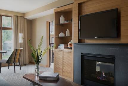 Viceroy Hotel Ski-In/Ski-Out Sanctuary - Snowmass Village, Colorado