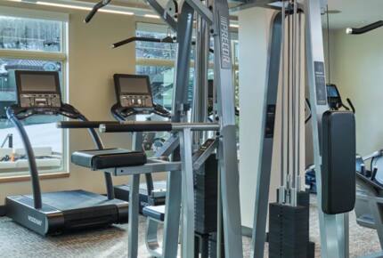 Viceroy Hotel Ski-In/Ski-Out Sanctuary - Snowmass Village, Colorado