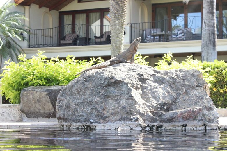 Flamingo Beach Luxury Villa - Santa Cruz Cabo Velas, Costa Rica