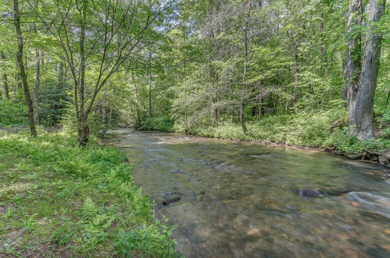 "A River Runs Through It" Chic Georgia Cabin - Cherry Log, Georgia