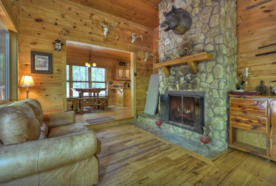 "A River Runs Through It" Chic Georgia Cabin - Cherry Log, Georgia