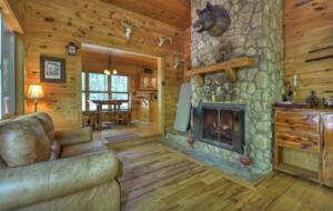 "A River Runs Through It" Chic Georgia Cabin - Cherry Log, Georgia