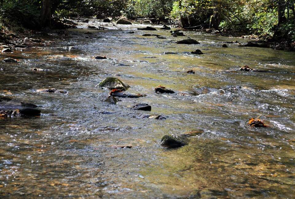 "A River Runs Through It" Chic Georgia Cabin - Cherry Log, Georgia