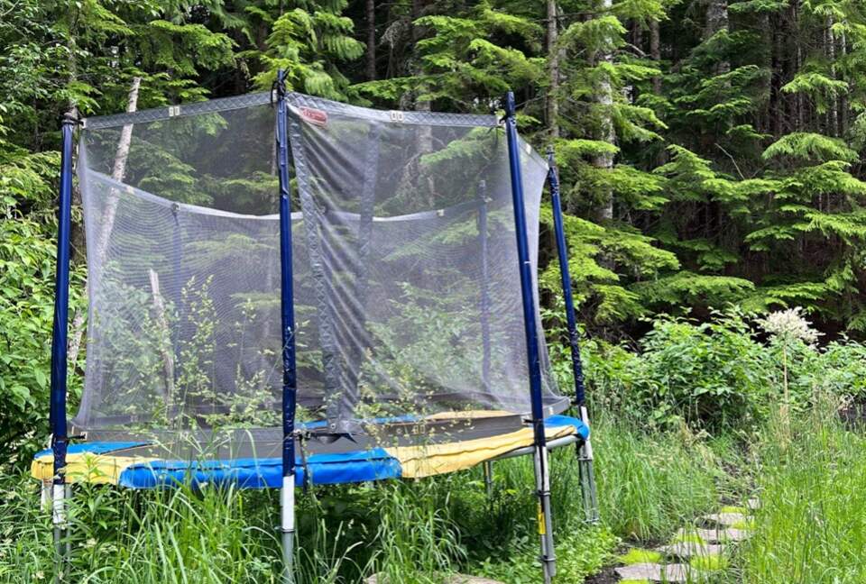 Whistler Modern Masterpiece - Whistler, Canada