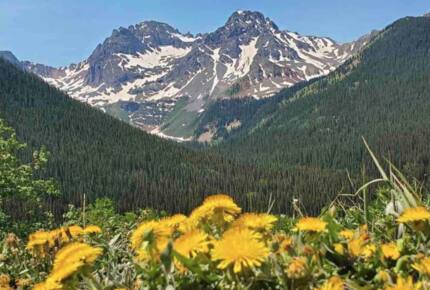 Pagosa Springs Riverfront Getaway - Pagosa Springs, Colorado