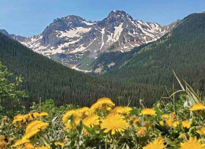 Pagosa Springs Riverfront Getaway - Pagosa Springs, Colorado