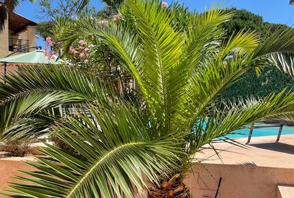 Villa d'este - Les Issambres, France
