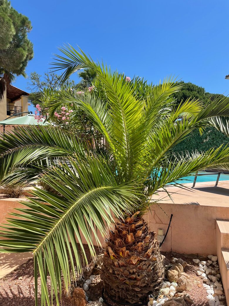 Villa d'este - Les Issambres, France