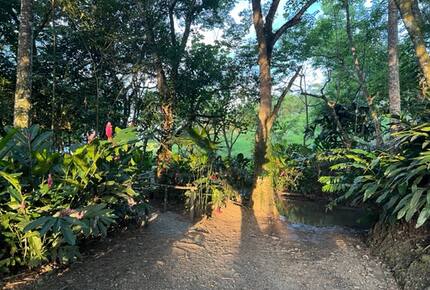 La Toscana, Medellin Colombia - Medellin, Colombia