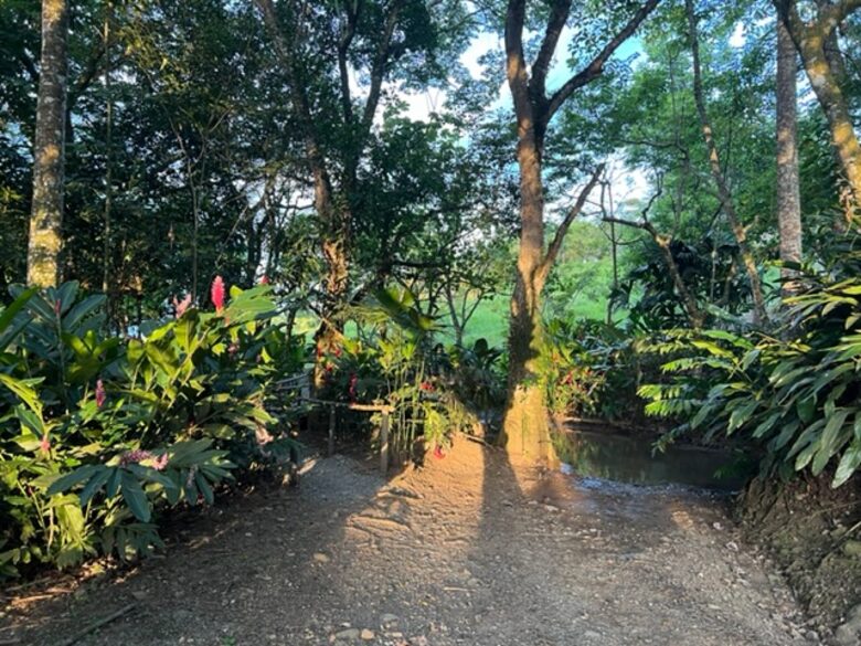 La Toscana, Medellin Colombia - Medellin, Colombia