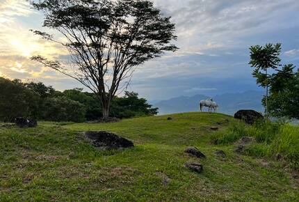 La Toscana, Medellin Colombia - Medellin, Colombia