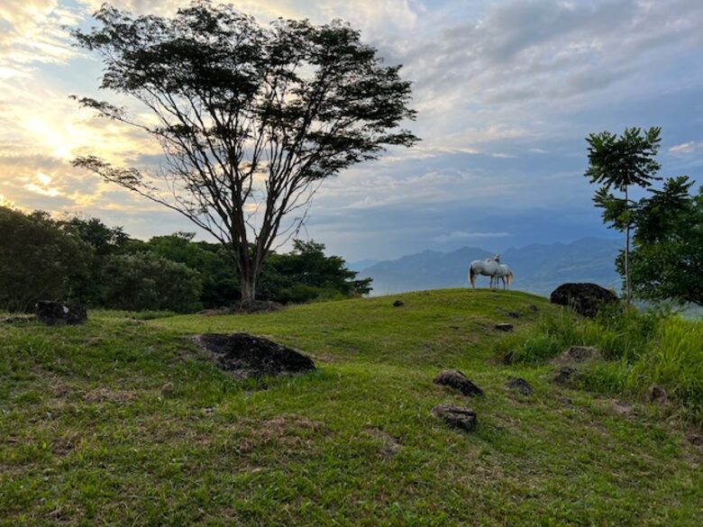 La Toscana, Medellin Colombia - Medellin, Colombia