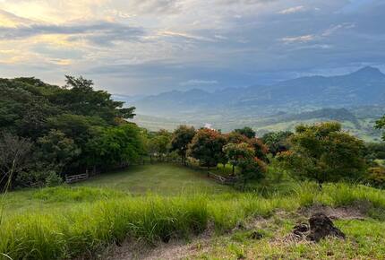 La Toscana, Medellin Colombia - Medellin, Colombia