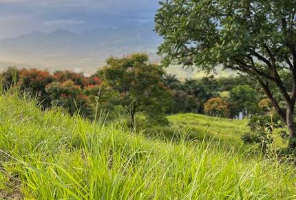 La Toscana, Medellin Colombia - Medellin, Colombia