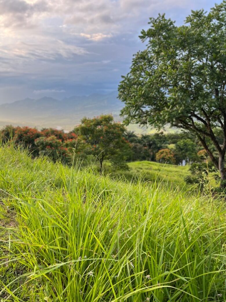 La Toscana, Medellin Colombia - Medellin, Colombia