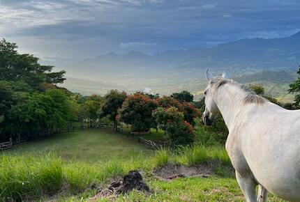 La Toscana, Medellin Colombia - Medellin, Colombia