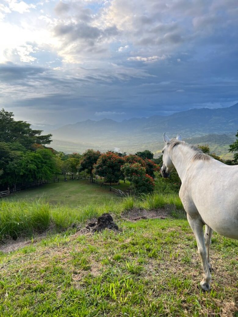 La Toscana, Medellin Colombia - Medellin, Colombia