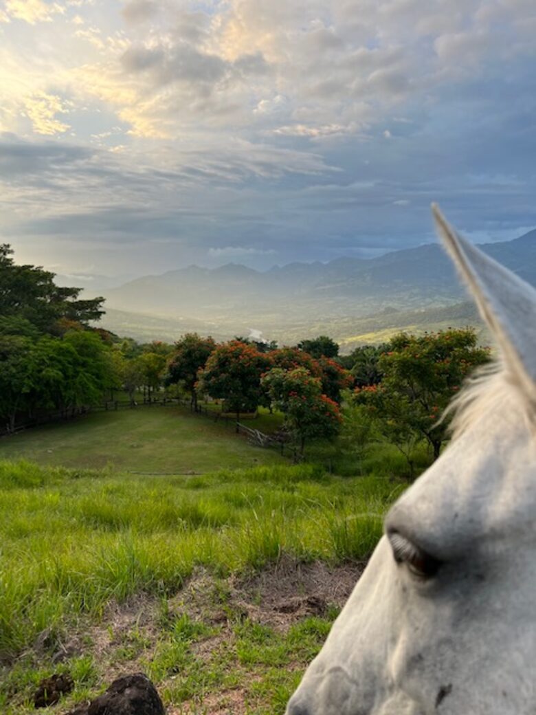 La Toscana, Medellin Colombia - Medellin, Colombia