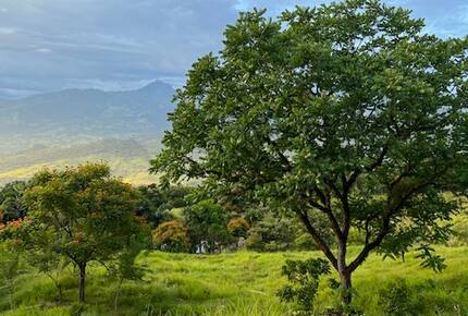 La Toscana, Medellin Colombia - Medellin, Colombia