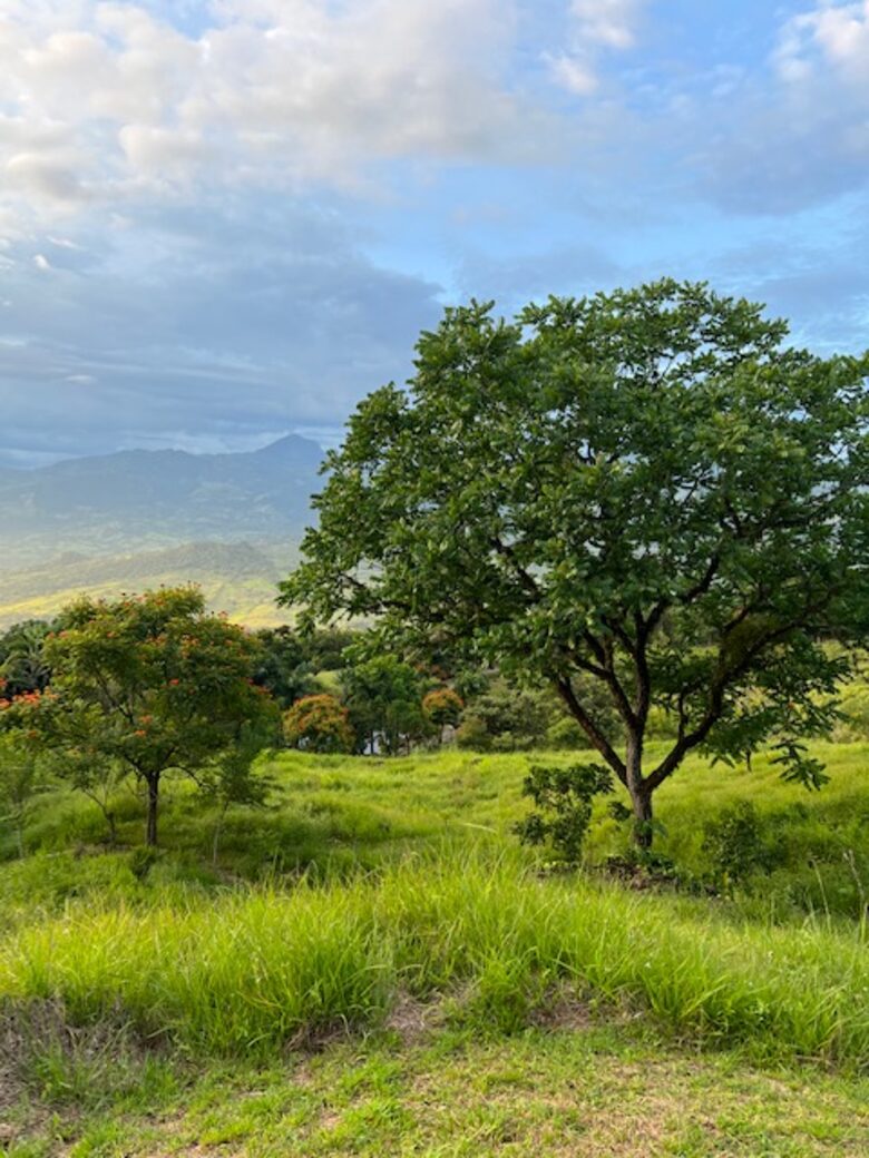 La Toscana, Medellin Colombia - Medellin, Colombia