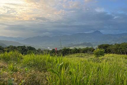 La Toscana, Medellin Colombia - Medellin, Colombia